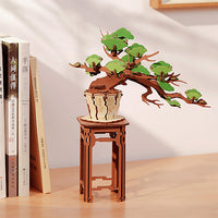 Rolife Evergreen Pine Bonsai - 3D Wooden Puzzle | Moshi Moshi Paris