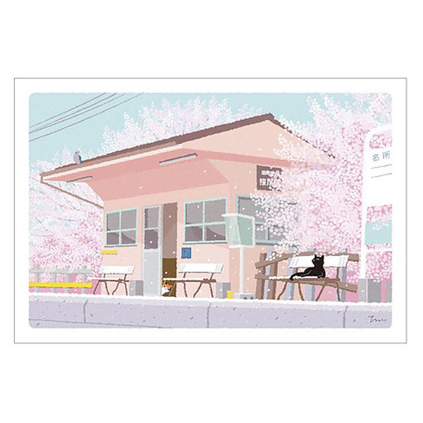 Carte Postale Chat Sakura - Japon | Moshi Moshi Paris 1er