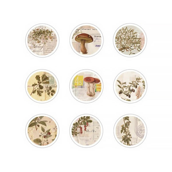 Stickers Japonais Sunday Sunday - Autumn | Moshi Moshi Paris