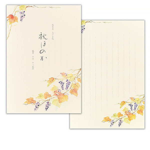 Papier à Lettre Ippitsusen - Autumn Honoka | Moshi Moshi Paris 