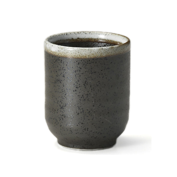 Tasse à Thé Tenmoku