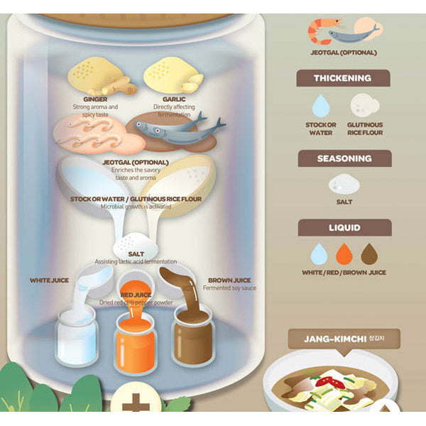 Poster Affiche Kimchi - Food around the World | Moshi Moshi Paris