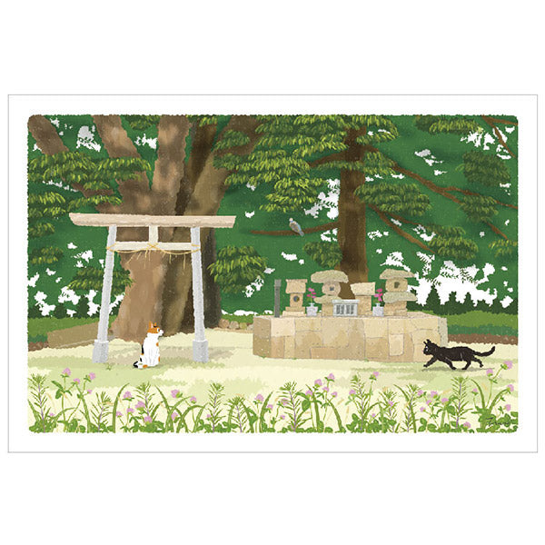 Carte Postale Chat - Japan Summer | Moshi Moshi Paris