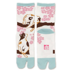 Tabi Chat Sakura - Chaussette Japonaise | Moshi Moshi Paris