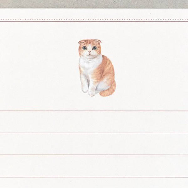 Papier Lettre & Enveloppe Mino - Chat Scottish Fold | Moshi Moshi