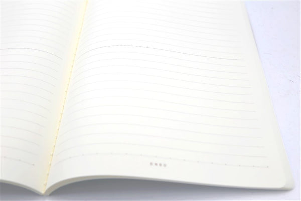 CAHIER FRUIT DU DRAGON