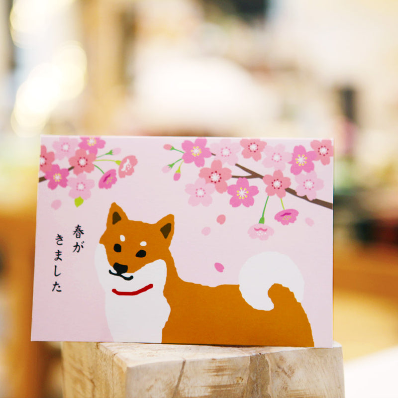 Carte Pop Up- Shiba Inu Sakura