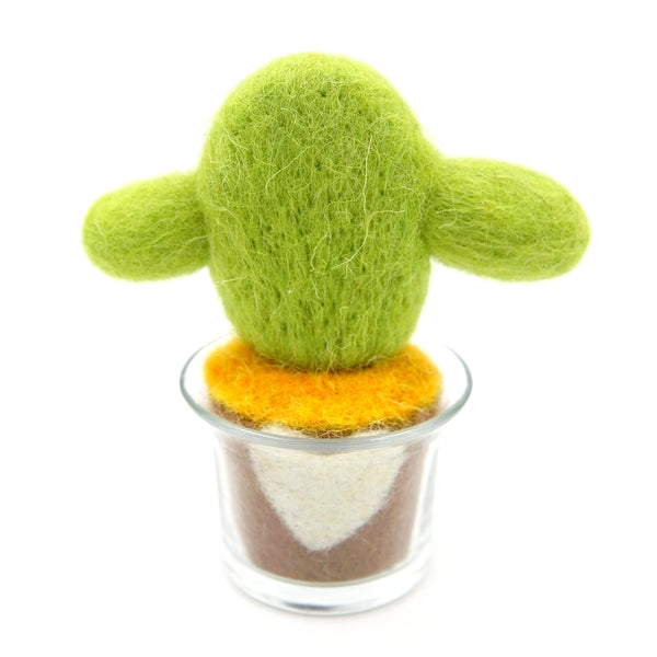 Cactus 01