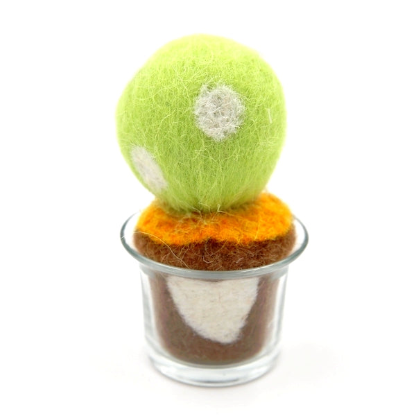 Cactus 02