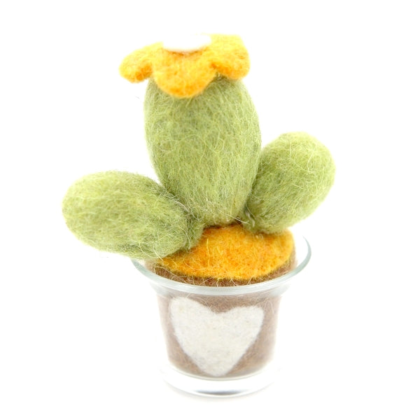 Cactus 05