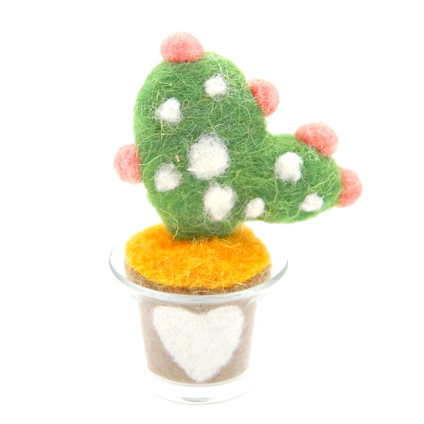 Cactus 06