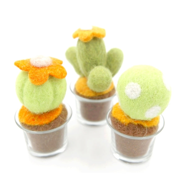 Cactus 02