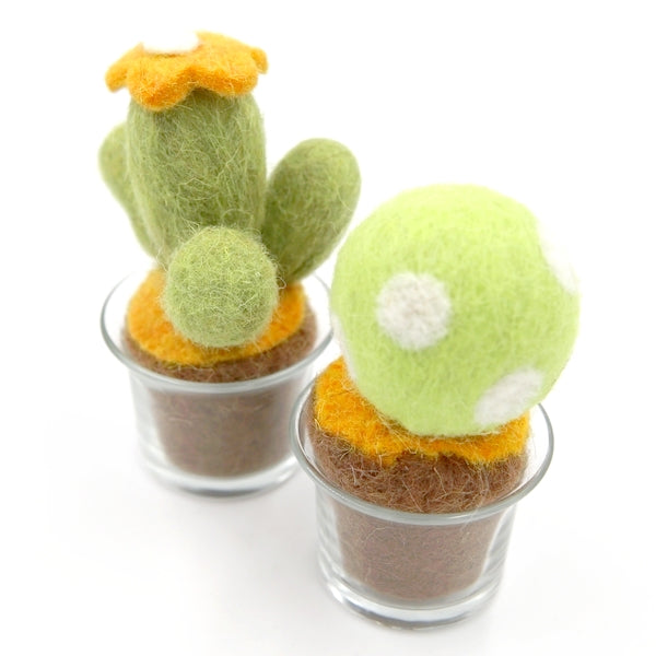 Cactus 02