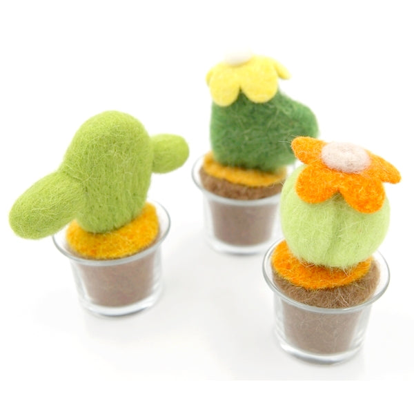 Cactus 07