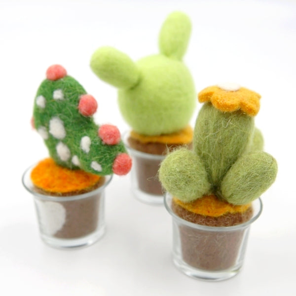 Cactus 04