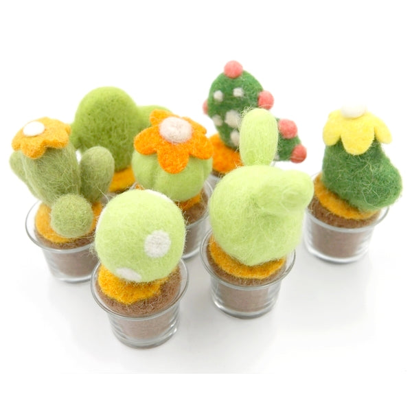 Cactus 07
