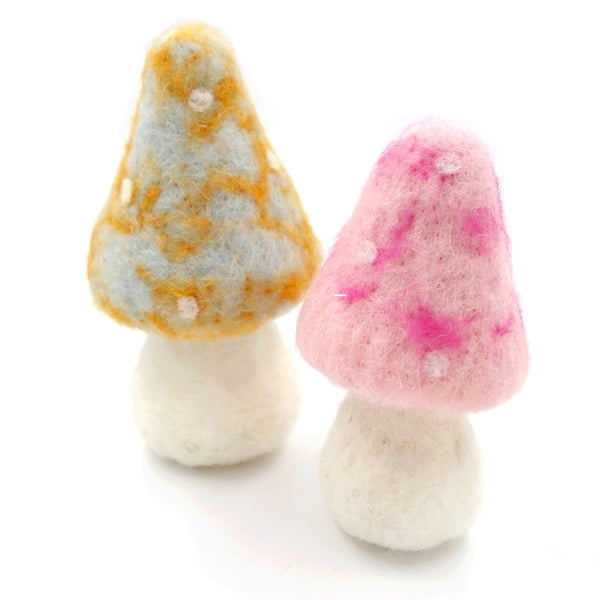 Mushroom B & P