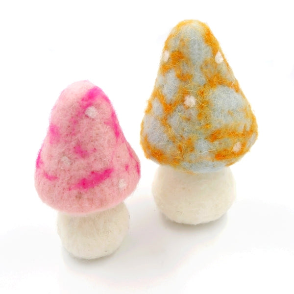 Mushroom B & P