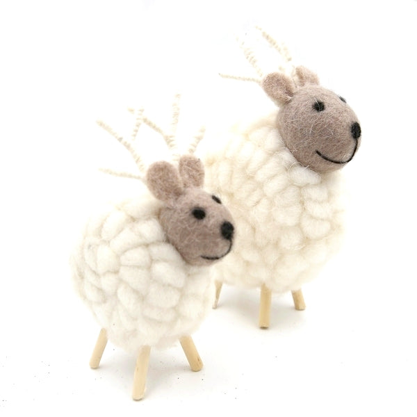 Sheep
