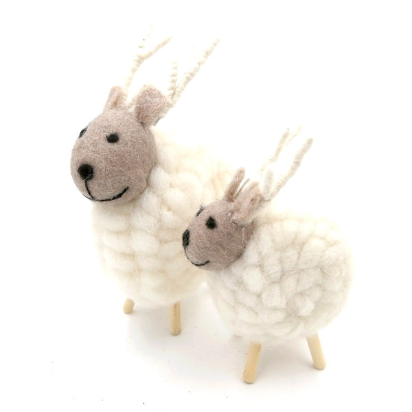 Sheep