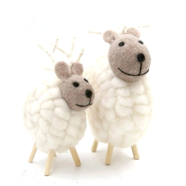 Sheep