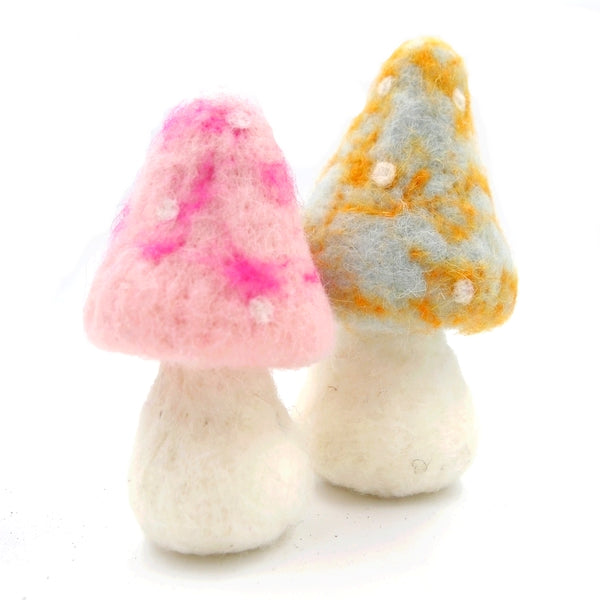 Mushroom B & P