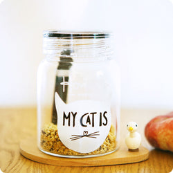 Gourde, Pot à épice kawaii et écologique - Chat 