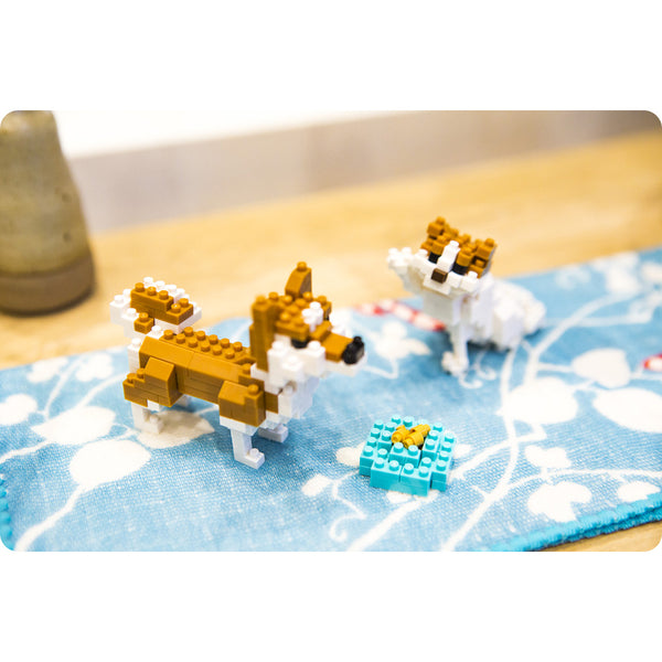 Nanoblock Scottish Fold - Moshi Moshi Boutique Paris