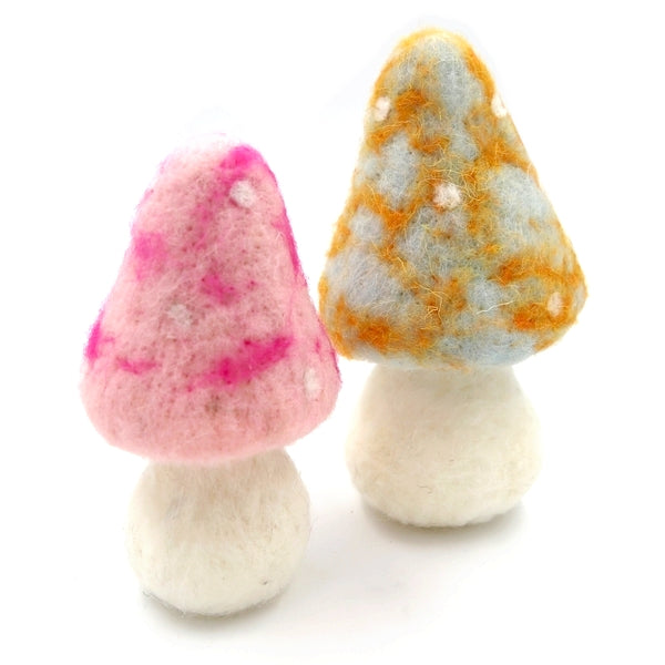 Mushroom B & P