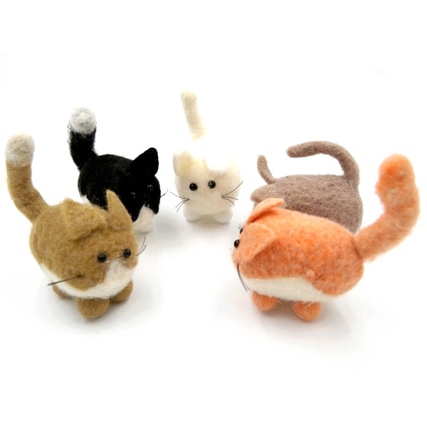 Cat W, P & G