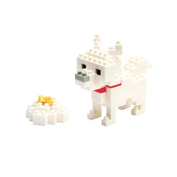 Hokkaido Dog