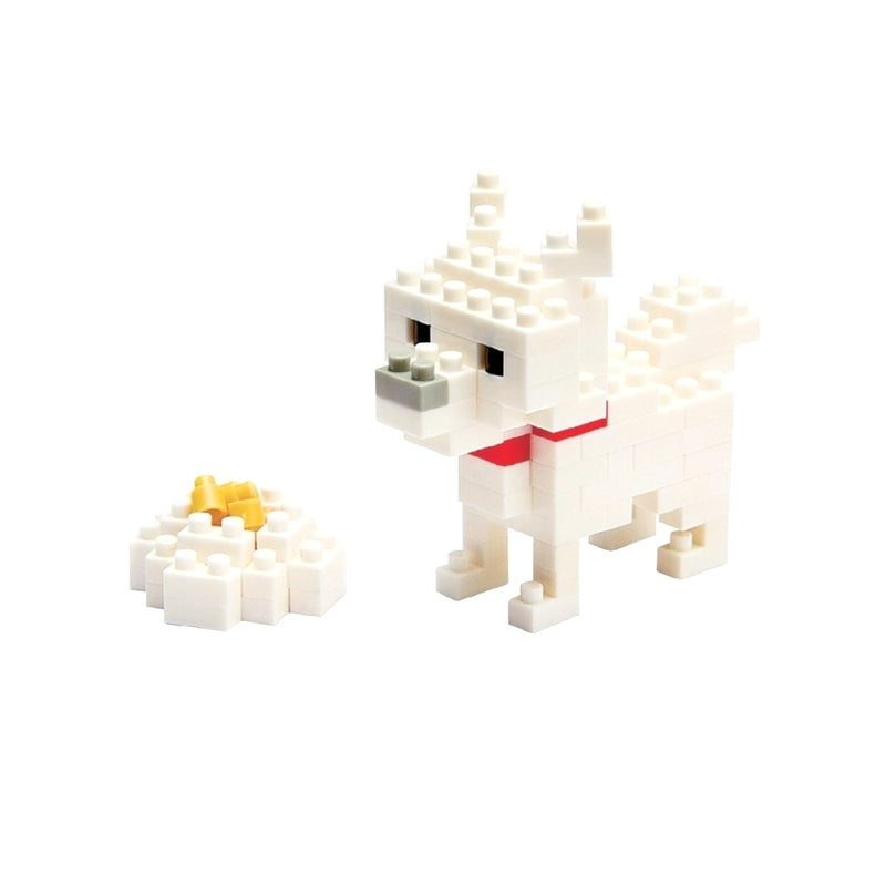 Hokkaido Dog