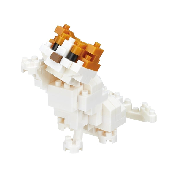 Nanoblock Scottish Fold - Moshi Moshi Boutique Paris